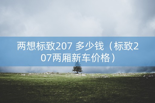 两想标致207 多少钱（标致207两厢新车价格）