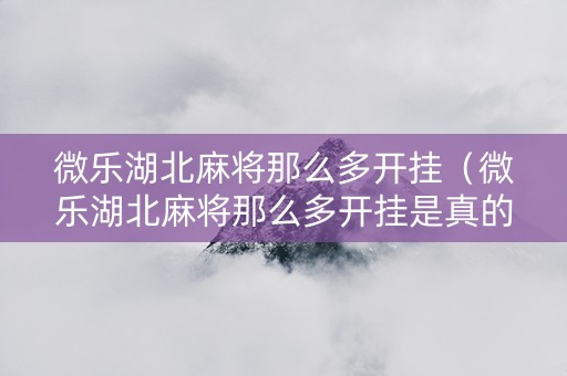 微乐湖北麻将那么多开挂（微乐湖北麻将那么多开挂是真的吗）