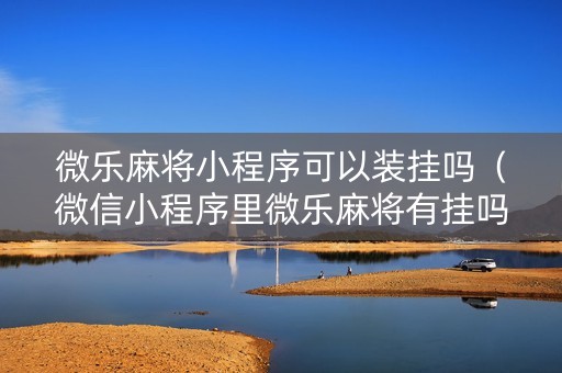 微乐麻将小程序可以装挂吗（微信小程序里微乐麻将有挂吗）