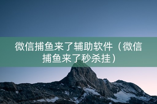 微信捕鱼来了辅助软件（微信捕鱼来了秒杀挂）