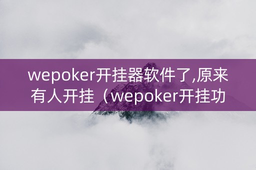 wepoker开挂器软件了,原来有人开挂（wepoker开挂功能）