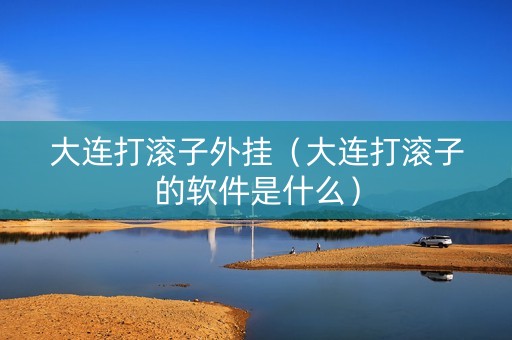 大连打滚子外挂（大连打滚子的软件是什么）