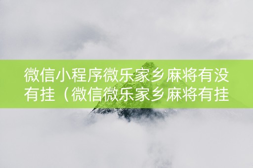 微信小程序微乐家乡麻将有没有挂（微信微乐家乡麻将有挂吗）