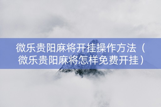 微乐贵阳麻将开挂操作方法（微乐贵阳麻将怎样免费开挂）