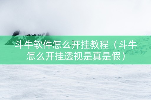 斗牛软件怎么开挂教程（斗牛怎么开挂透视是真是假）