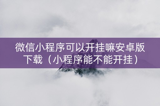 微信小程序可以开挂嘛安卓版下载（小程序能不能开挂）