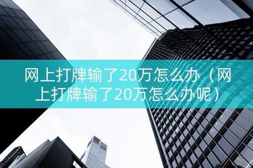 网上打牌输了20万怎么办（网上打牌输了20万怎么办呢）