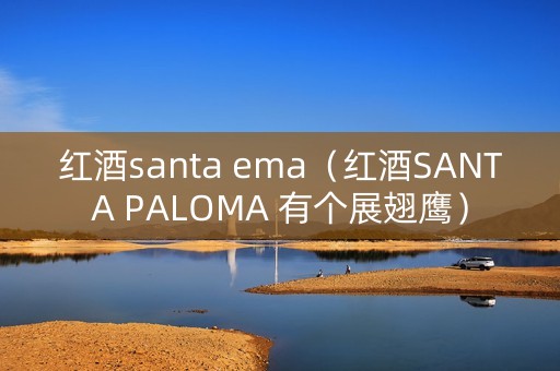 红酒santa ema（红酒SANTA PALOMA 有个展翅鹰）