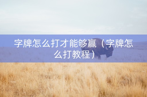 字牌怎么打才能够赢（字牌怎么打教程）