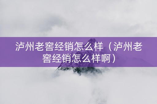 泸州老窖经销怎么样（泸州老窖经销怎么样啊）