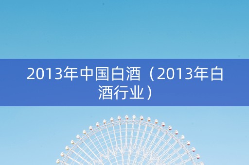 2013年中国白酒（2013年白酒行业）