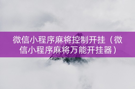 微信小程序麻将控制开挂（微信小程序麻将万能开挂器）