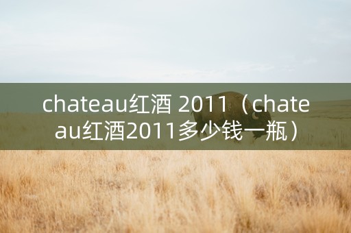 chateau红酒 2011（chateau红酒2011多少钱一瓶）