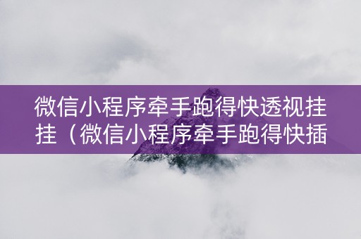 微信小程序牵手跑得快透视挂挂（微信小程序牵手跑得快插件）