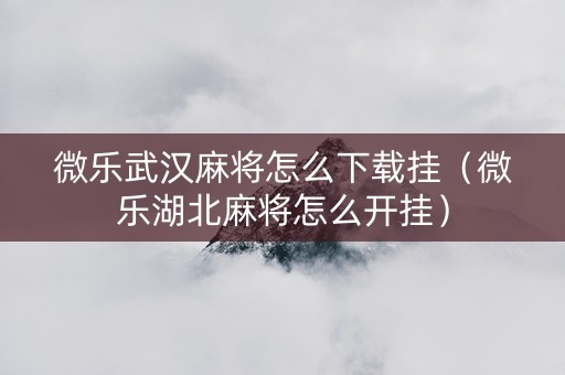 微乐武汉麻将怎么下载挂（微乐湖北麻将怎么开挂）