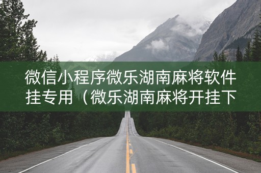 微信小程序微乐湖南麻将软件挂专用（微乐湖南麻将开挂下载安装）