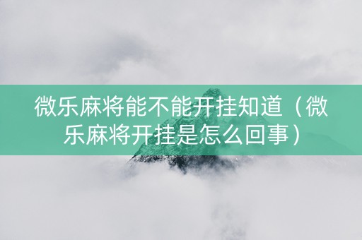 微乐麻将能不能开挂知道（微乐麻将开挂是怎么回事）