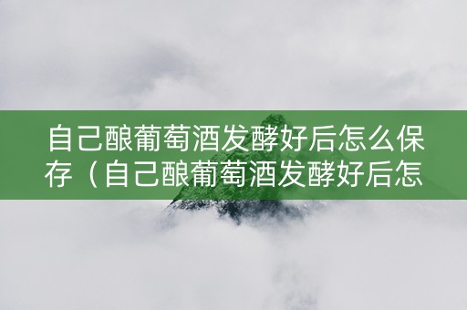 自己酿葡萄酒发酵好后怎么保存（自己酿葡萄酒发酵好后怎么保存呢）