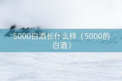 5000白酒长什么样（5000的白酒）