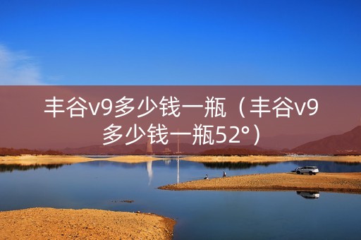 丰谷v9多少钱一瓶（丰谷v9多少钱一瓶52°）