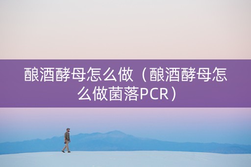 酿酒酵母怎么做（酿酒酵母怎么做菌落PCR）