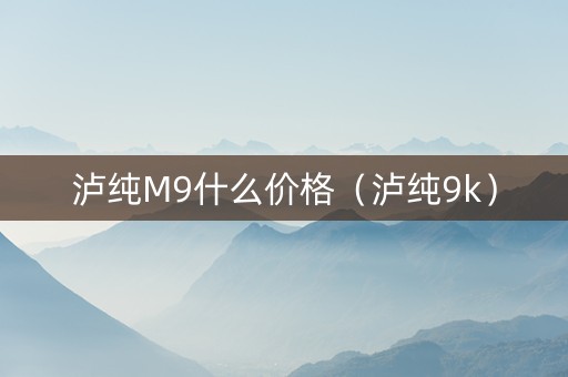 泸纯M9什么价格（泸纯9k）