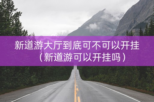 新道游大厅到底可不可以开挂（新道游可以开挂吗）