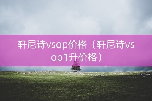 轩尼诗vsop价格（轩尼诗vsop1升价格）