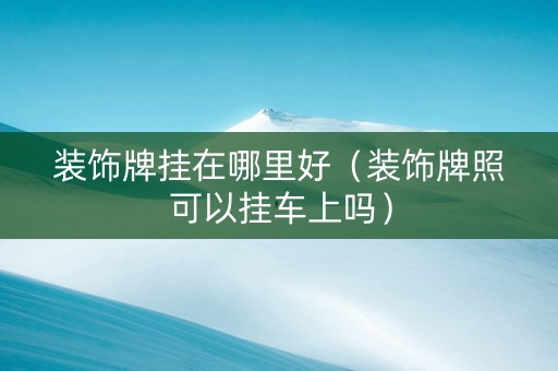 装饰牌挂在哪里好（装饰牌照可以挂车上吗）
