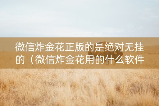 微信炸金花正版的是绝对无挂的（微信炸金花用的什么软件）