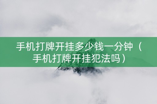 手机打牌开挂多少钱一分钟（手机打牌开挂犯法吗）