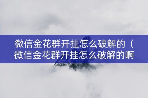 微信金花群开挂怎么破解的（微信金花群开挂怎么破解的啊）