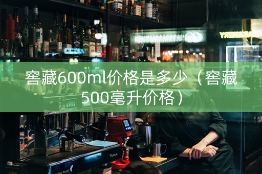 窖藏600ml价格是多少（窖藏500毫升价格）