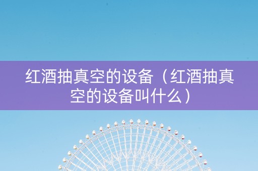 红酒抽真空的设备（红酒抽真空的设备叫什么）