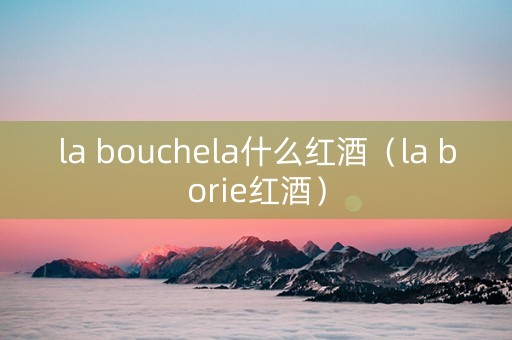 la bouchela什么红酒（la borie红酒）