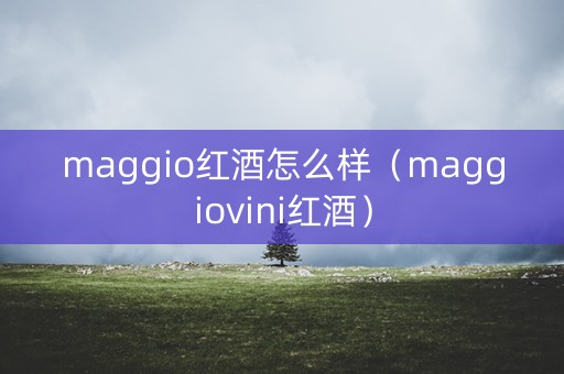 maggio红酒怎么样（maggiovini红酒）