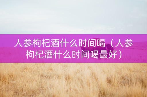 人参枸杞酒什么时间喝（人参枸杞酒什么时间喝最好）