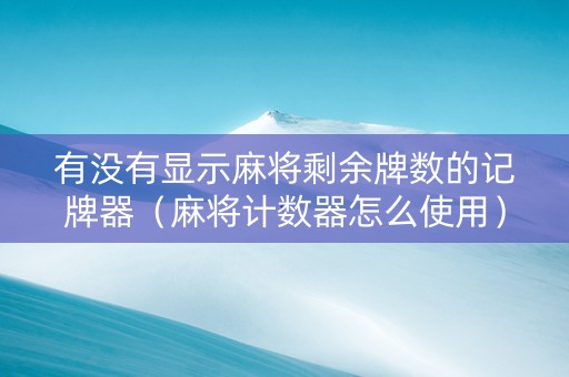 有没有显示麻将剩余牌数的记牌器（麻将计数器怎么使用）