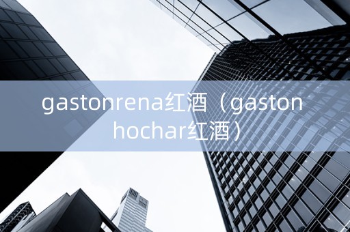 gastonrena红酒（gaston hochar红酒）