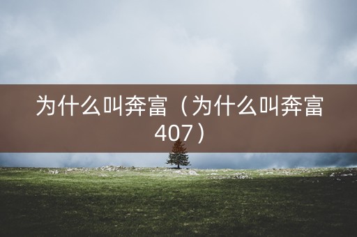 为什么叫奔富（为什么叫奔富407）