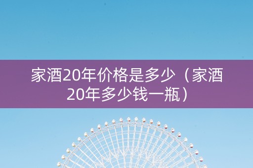 家酒20年价格是多少（家酒20年多少钱一瓶）