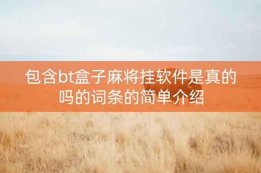 包含bt盒子麻将挂软件是真的吗的词条的简单介绍