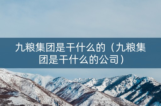 九粮集团是干什么的（九粮集团是干什么的公司）