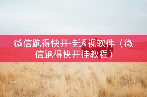 微信跑得快开挂透视软件（微信跑得快开挂教程）