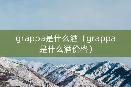 grappa是什么酒（grappa是什么酒价格）