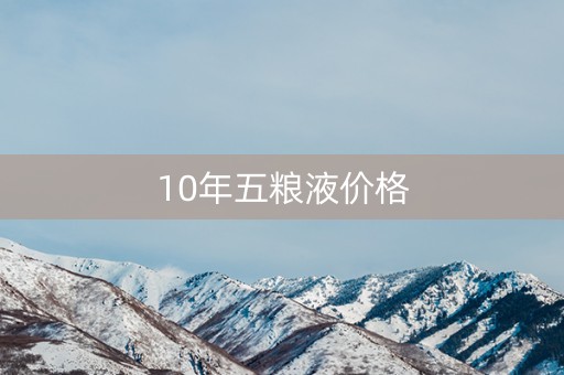 10年五粮液价格