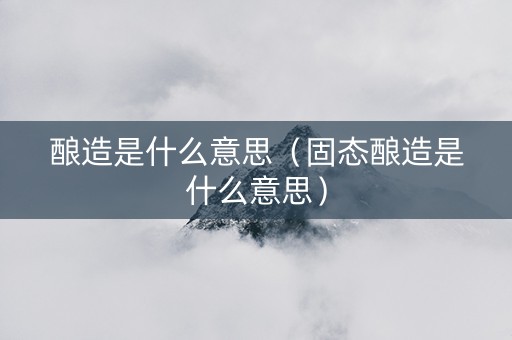 酿造是什么意思（固态酿造是什么意思）