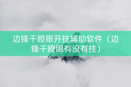 边锋干瞪眼开挂辅助软件（边锋干瞪眼有没有挂）