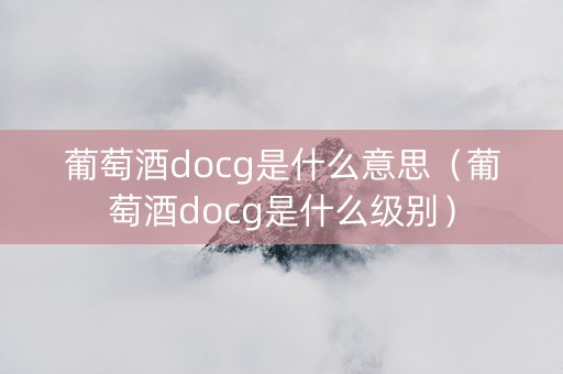 葡萄酒docg是什么意思（葡萄酒docg是什么级别）