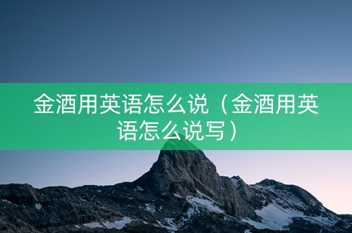 金酒用英语怎么说（金酒用英语怎么说写）